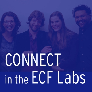 Connect ECF Labs